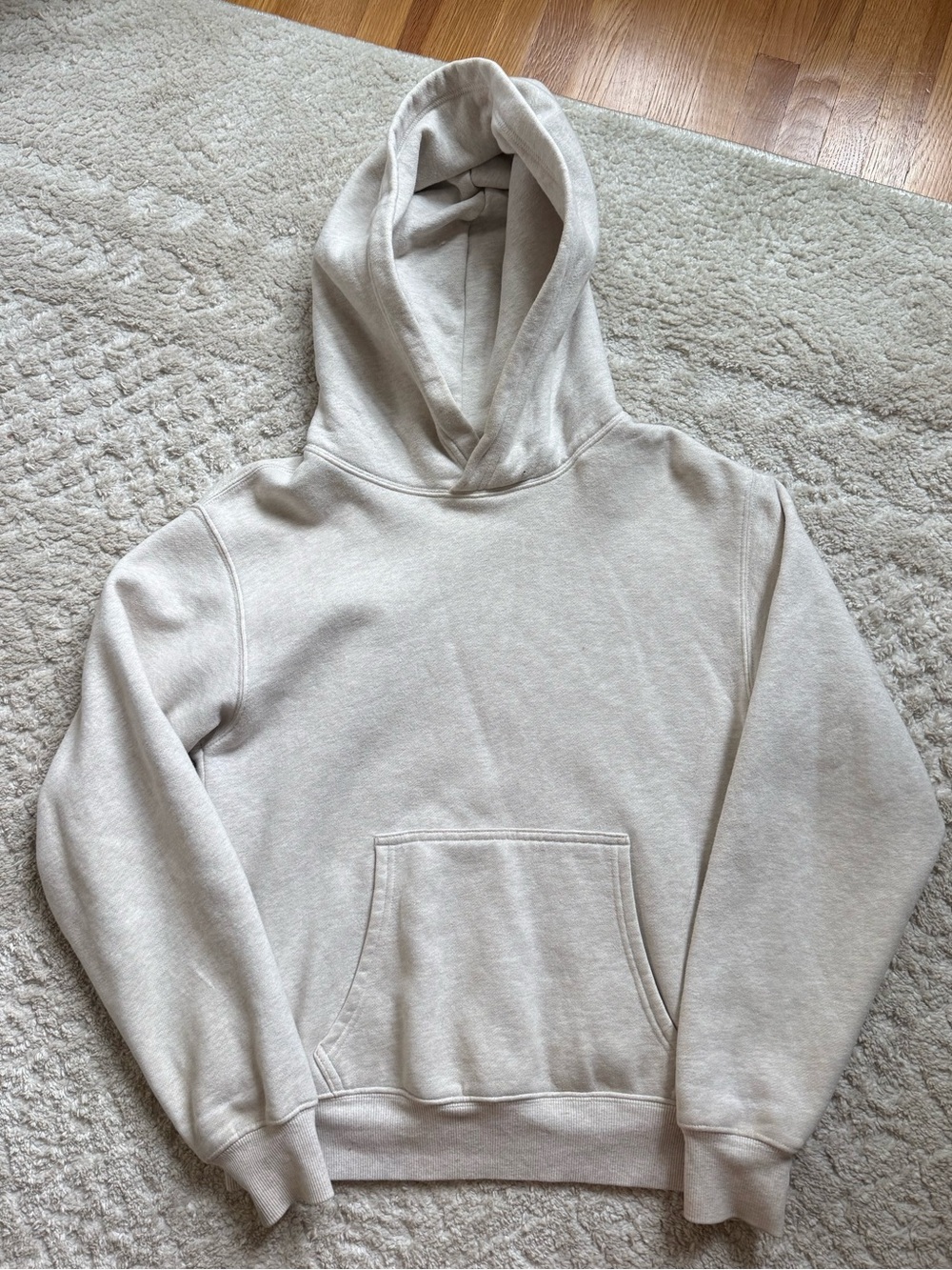 Aritzia cozy sweat fleece hoodie in heather ecru